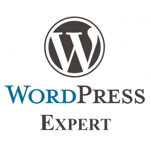 Wordpress expert